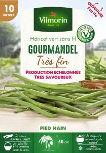Haricot Nain Vert Gourmandel - 10 m